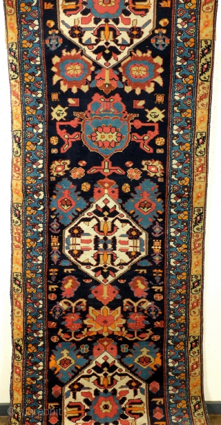 Harshang motif, Kurdisch, Bidjar area, dark blue ground in contrast with the sparkling colors. Dragons in the soft yellow border. Nice tomado red.  
305 x 100 Cm. 10 ft. x 3.3  ...