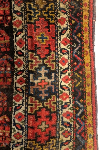 Georgian rug, west Caucasus, antique,  107 x 360 Cm. 3.5 x 12 feet. natural colors. 
wear in the top border.. Price very reasonable.         