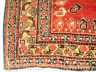 This mid 19th century Senna Saddle Persian Oriental Rug #6578 measures 3’6” X 3’6”. It is the only red Senna Saddle I have ever seen. It is full pile and is essentially  ...