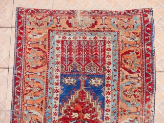 A Ladik/Fertek Prayer Rug, Nigde region, central Anatolia,  6ft x 3.7 ft. (182 x 114 cm.)  Circa 1800. This Tulip Ladik/Fertek rug is divided in four sections with a central  ...