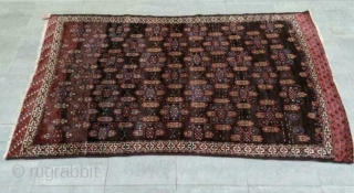 Turkman Yamoud 

146 x 235 cm

Beautiful rug                          