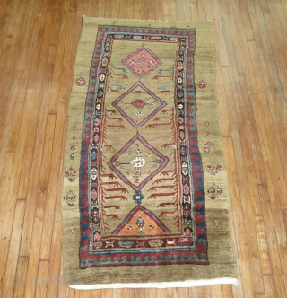 Antique MEATY Bakhshaish Camel Hair runner 3'4''x6'10''.  Fantastic piece.  Great pile.  Minor old repiles found.  Just a few..  Rug is a bit wonky.     