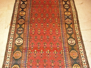 Antique Karabag Talish  very nice colours and excellent condition all orginal size: 2,80 X 1,07  Circa 1900 or 1910            