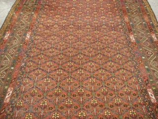 Antique Malayer Main carpet wonderful colours and very good condition all orginal size: 5,00 X 2,10 cm                