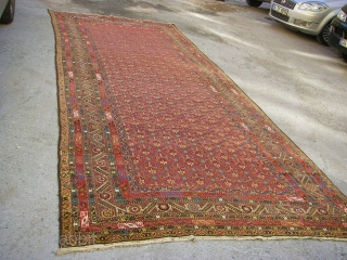 Antique Malayer Main carpet wonderful colours and very good condition all orginal size: 5,00 X 2,10 cm                