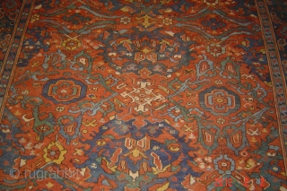 Antique USHAG carpet
335cmx294cm
PAZYRYK Antique
AMSTERDAM                             