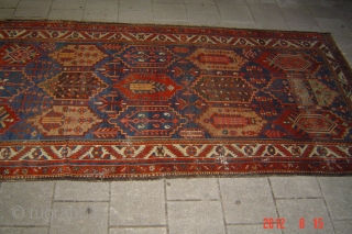 1935 bakhtiyari 307cmx158cm
pazyryk antique amsterdam                            