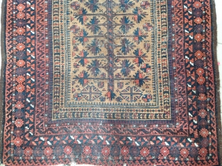 Baluch teymori
185cmx96cm                               