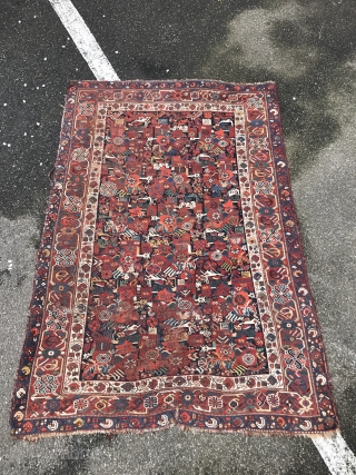 Rare Persian gashgai group rug 190x127cm                           