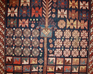 Rare Shahsavan rug with great natural Colors and unusual design, 19th century, 189x121cm                    