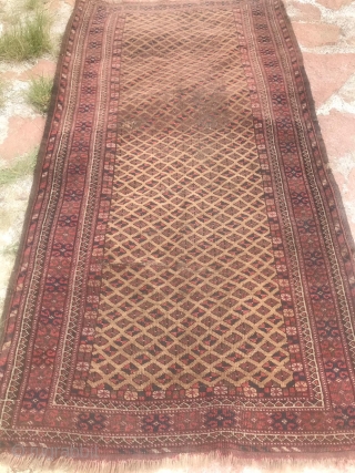 Turkmen-Teke ?, antiquary 110 X 210 cm.                          