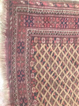 Turkmen-Teke ?, antiquary 110 X 210 cm.                          