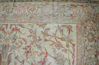 Superb antique Zeigler 340x230cm. The exquisite colour combination takes this already desirable piece to another level.  The pile is evenly low.

More Info: https://sharafiandco.com/product/antique-zeigler-carpet-340x230cm/
         