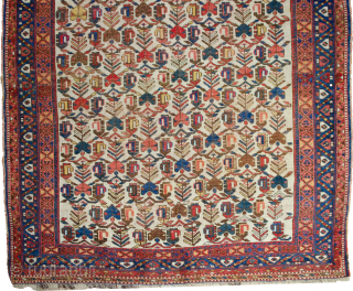 A decorative Afshar rug from the tribes of South Iran 187x150cm.Late 19th Century. Reduced to CLEAR 

More info: https://sharafiandco.com/product/antique-afshar-rug-187x150cm/ 

Price is plus VAT if within the UK and plus shipping.
   