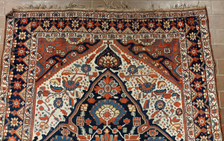 South Persia rug.
184 x 134 cm.
For more photos and information ask.
I live in Florence, Italy.                  