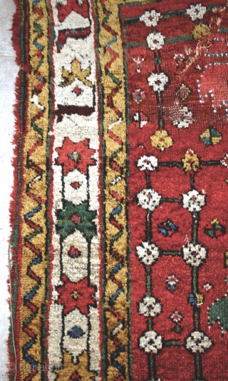 Kuchan Kurd Fragment / circa 1800, or earlier? Size: Fragment, 8' x 2'
I had a smaller piece of this same rug in the Spring. This piece has a bit more pile and  ...