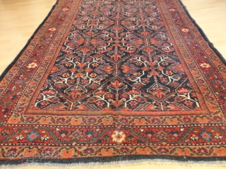 
  Antique   Mahal rug  West-Persien     132 X 198  cm.

  All  natural  colours ,rare  very  nice  pattern ,  ...