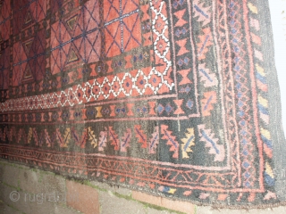  

  Fine  antique  Belutch  main  carpet  200 X 276  cm.
  very  unusual  feeld , Loustrus wool , nice natural colors ,
  ...