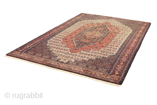 Senneh - Kurdi Persian Carpet 328x208

Size: 328x208 cm
Thickness: Medium (5-10mm)
Oldness: 80-100 (Antique)
Pile - Warp: Wool on Cotton
Node Density: about 200,000 knots per m²
email:carpetu2@gmail.com
          