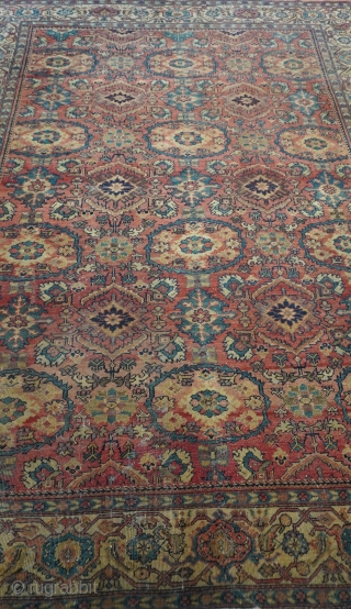 Antique Persian Sultanabad rug, size is 8'10" x 11'8" (269 x 356 cm.), good condition, no repairs, hand washed professionally.             