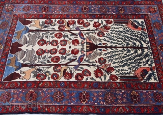 Antique Persian Bakhtiari rug, tree of life, size 4'3" X 6', circa 1920

                    