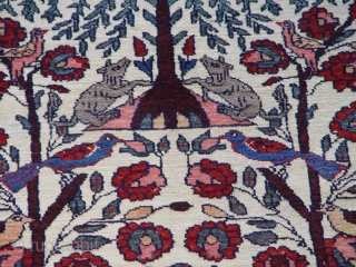 Antique Persian Bakhtiari rug, tree of life, size 4'3" X 6', circa 1920

                    