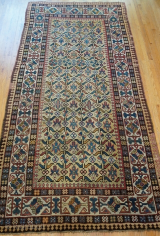 Antique Caucasian Talish Large Rug size is: (5'8"x11'3"ft.) (173x343 cm.)ca. 1840s, gold background.                    