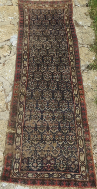 Shawsavan, approx 3 ft x 9 ft 3 in. 19th Century. Unusual border design. All good colors. Visible wear (see close-ups) but good pile makes it restorable.      