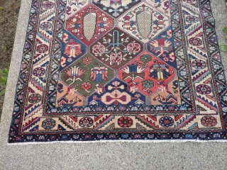 Strange old Bakhtiari garden rug with very funky transitional dyes: 54" x 80"

SOLD.                    