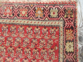 Antique circa. 1800 Caucasian Karabagh Boteh rug. Shusha or possibly Shikhli district, border suggests Shikhli. Fantastic condition. Beautiful karabagh floral meander border, botehs are spectacular. Composition is all wool, warp 3 shoots,  ...