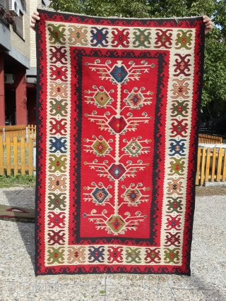 Antique sarkoy Pirot kilim with nice three of life design.
prayer size: about 150 x 100 cm
Perfect condition, finest weaving              