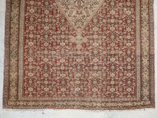 Antique 19th century Senneh / Senna Persian rug. Beautiful soft colors including a pistachio green and pale yellow, which are typical from this time period. Border has a muted yellow background with  ...