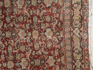 Antique 19th century Senneh / Senna Persian rug. Beautiful soft colors including a pistachio green and pale yellow, which are typical from this time period. Border has a muted yellow background with  ...