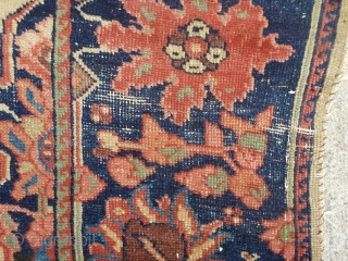 Antique Fereghan / Farahan / Ferahan rug.  Late 19th century to early 20th century. Beautiful design with interesting small secondary borders. Most colors are probably natural though one end has a  ...