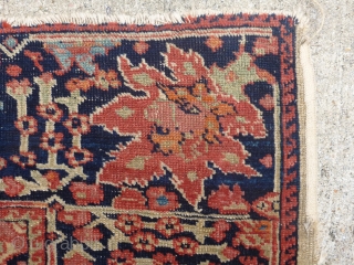 Antique Fereghan / Farahan / Ferahan rug.  Late 19th century to early 20th century. Beautiful design with interesting small secondary borders. Most colors are probably natural though one end has a  ...