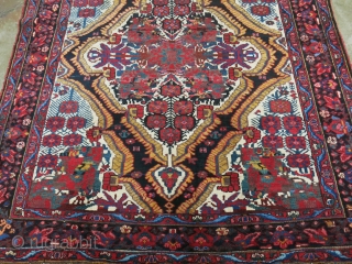 Baktiari main carpet, fine wool with full pile on cotton, circa 1900 or earlier size: 153" X 73"  -- 398 cm X 152 cm        