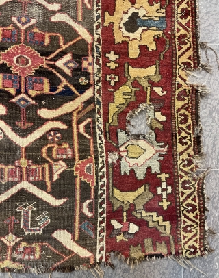 Very extraordinary carpet size 355x134cm                            