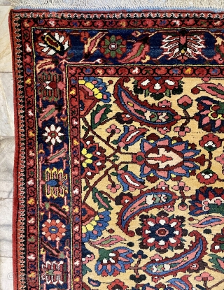 An exceptionally perfect Bahtiyar carpet to be one-of-a-kind. Size 217x157cm                       