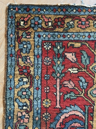 Very rare Bahshahis tree of life carpet 138x84cm                         