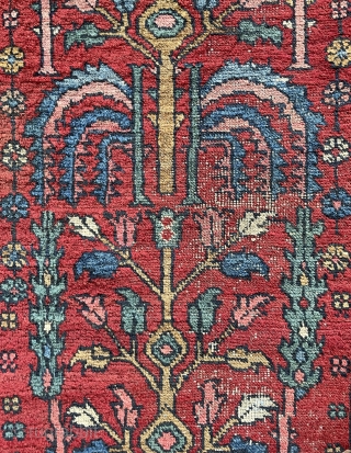 Very rare Bahshahis tree of life carpet 138x84cm                         