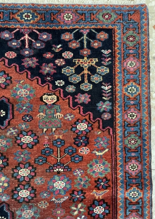 Ferduhs beluch carpet size 257x148cm                            