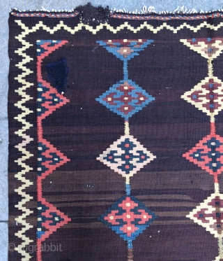 Persian kilim all are colors natural dyes size 300x168cm                        