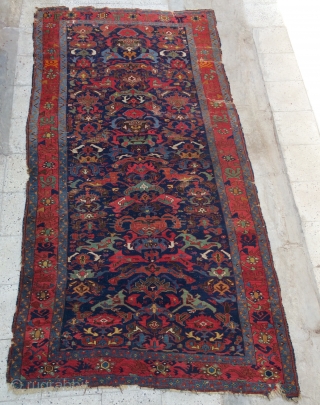 Zehur carpet size 300x150cm                             