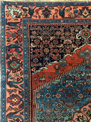 Rare Bidjar carpet wool on wool, very soft and very nice quality, all are colors natural dyes. 
Size 200x135cm              