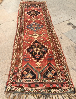 Rare Kurdish Carpet size 330x100cm                            