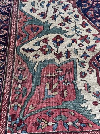 Very cute Ferehan carpet size 150x103cm                           