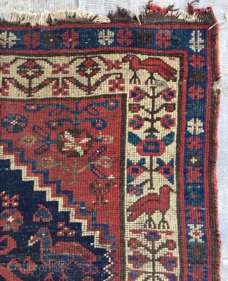 Persian Kurdish carpet size 113x107cm
                            