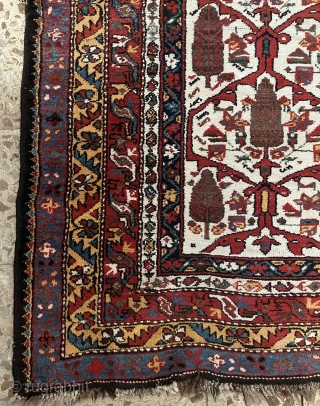 a very nice Persian carpet size 352x170cm                          