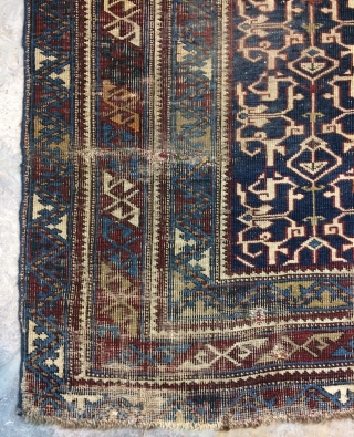 Shirvan rug size 195x110cm                             