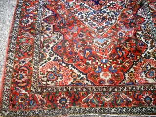 Wonderful old Bachtiari. Size: 132 x 206 cm. Very fine knotting.                      